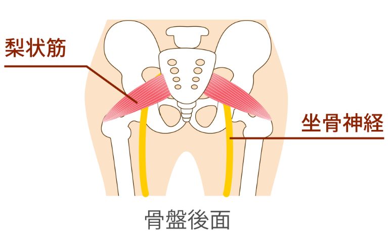 仙骨